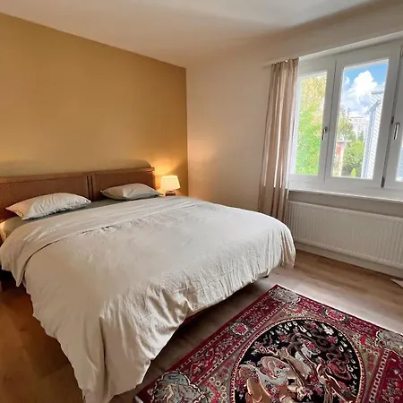 Daire Modern Close To Train Station Oerlikon-201-16-